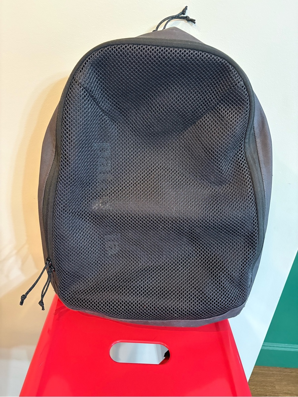Patagonia Black Mesh Front Backpack